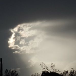 Meet your Posher, Jocelyn